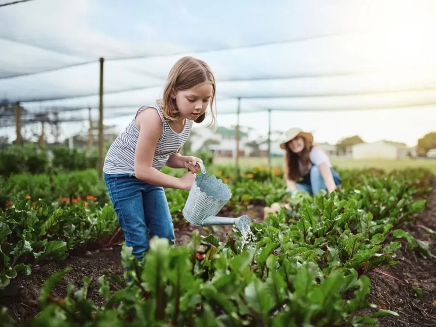 Hari Pendidikan Lingkungan Internasional, Simak Ini 1 Hari Pendidikan Lingkungan INternasional (Foto : Universitas Brawijaya)