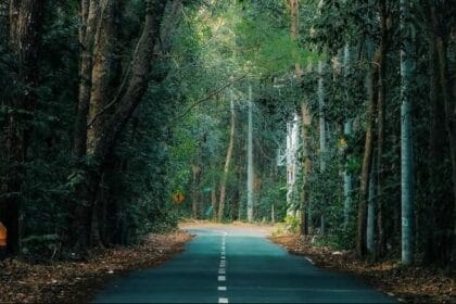 Kisah Mistis Alas Roban Batang Jawa Tengah