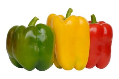 Paprika. (Foto : Umsu)