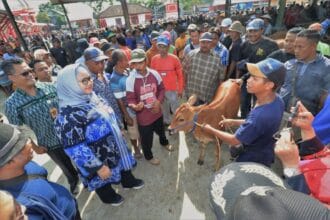 Pasar Hewan Legendari Sumberlawang