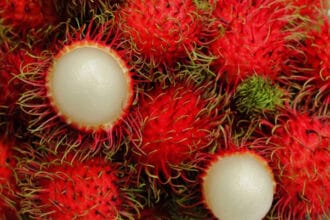 Buah rambutan. (Foto " LPM Dinamika)