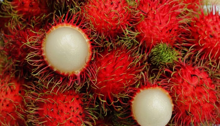 Buah rambutan. (Foto " LPM Dinamika)