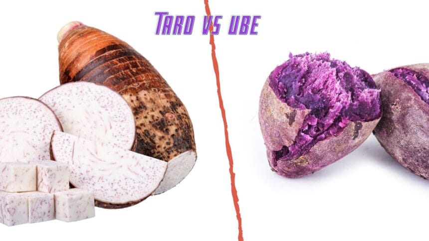 Taro dan ubi. (Foto : Mealy)