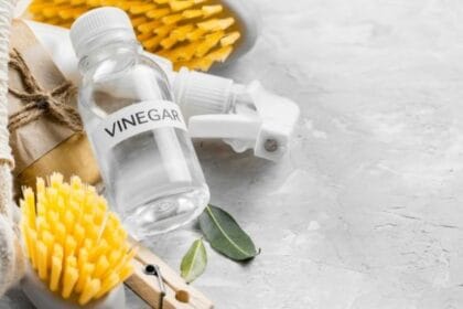 Cuka (Foto : Kompas.com)