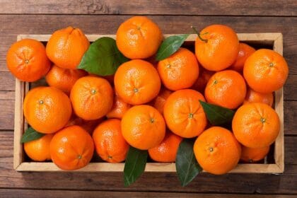 Jeruk mandarin yang identik dengan Imlek. (Foto : Cookin.ID)