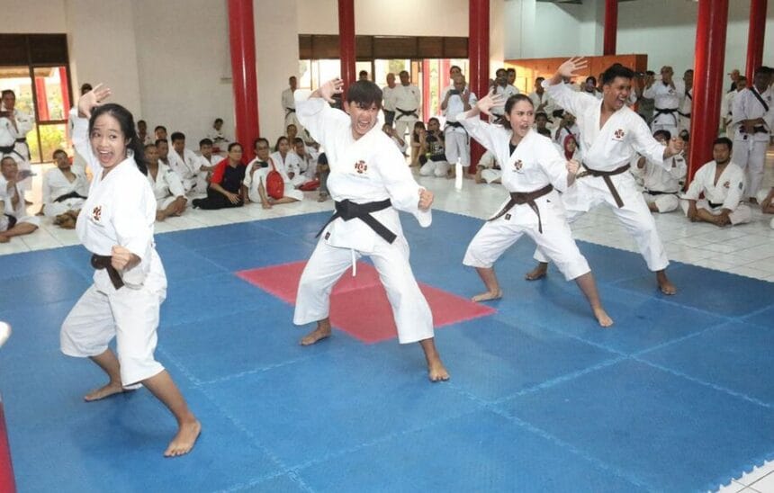 Kempo, Ekskul Beladiri Punya Banyak Aliran 1 Kempo (Foto : BeritaSatu)