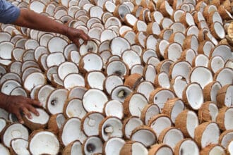 Kopra. (Foto : Export Hub)