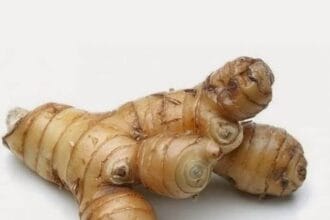 Laos (Foto : Tokopedia)