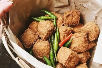 Tahu Sumedang (Foto : Inibaru)