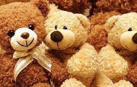 Teddy Bear (Foto : Outerbloom)