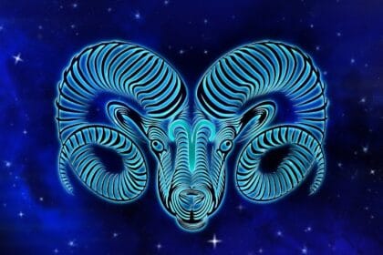 Aries (Foto : Gramedia)