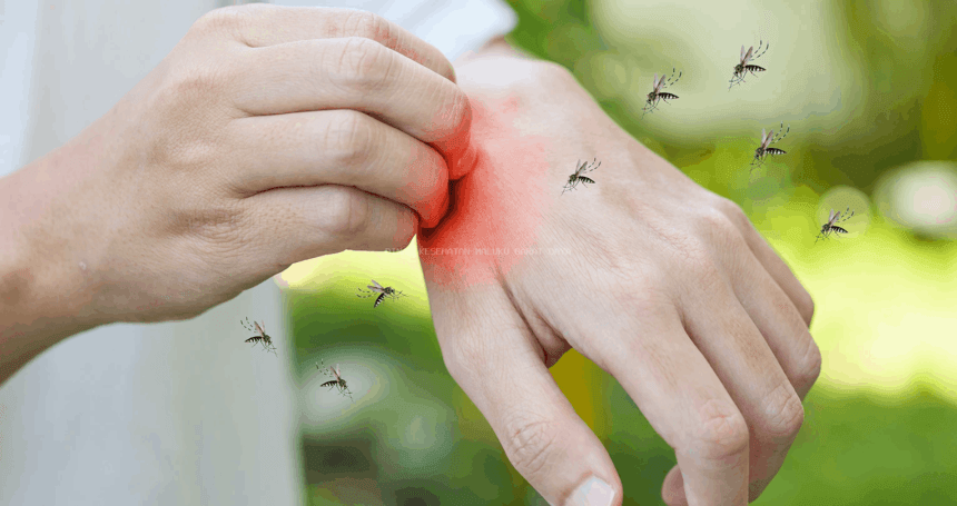 Gejala Demam Berdarah