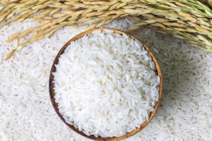 Kenaikan Harga Beras Ulah Kartel