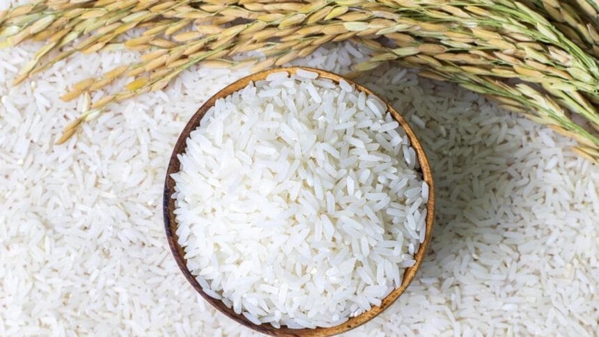 Kenaikan Harga Beras Ulah Kartel