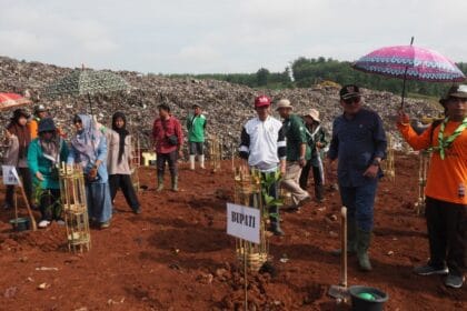 Penanaman 100 Bibit Pohon Mangga di TPA Pemalang Jawa Tengah