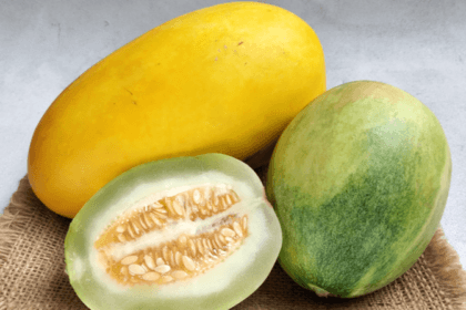 Timun Suri (Foto : Baking World Media)