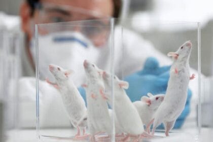 Hari Hewan di Laboratarium (Foto : Tim Biosafety FK KMK UGM)