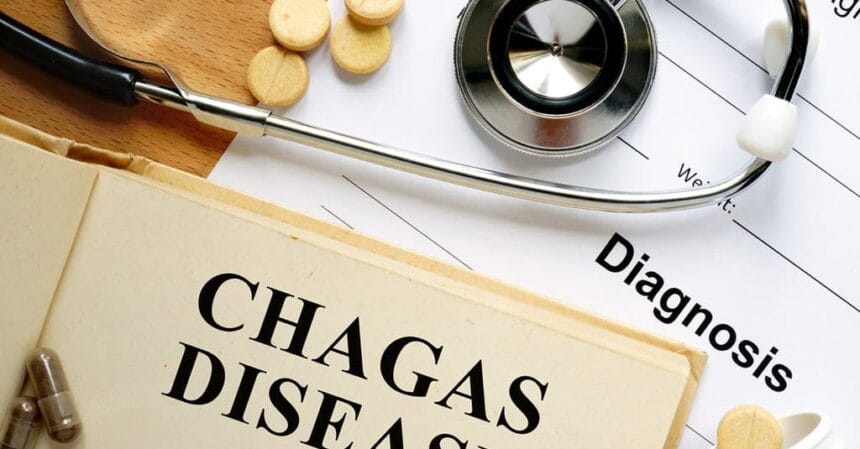 Mengenal Penyakit Chagas, Diperingati Setiap 14 April 1 Hari Penyakit Chagas Sedunia (Foto : Tirto.Id)