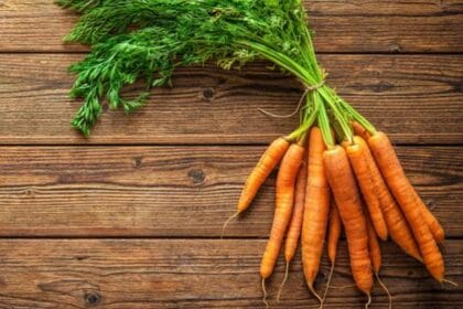 Hari Wortel Sedunia (Foto : KatakIni)