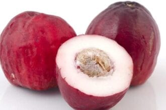 Jambu bol (Foto : Detik Health)