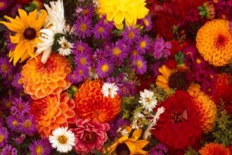 Bunga Rampai (Foto : Dunia Dosen)