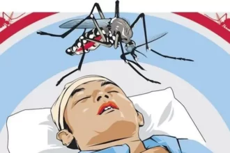 Demam Berdarah Dengue