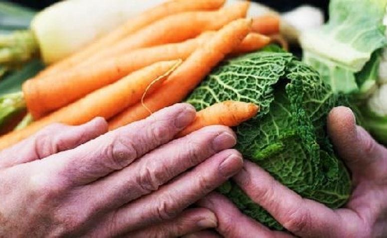 Hari Kelaparan Sedunia (Foto : Pandutani Indonesia)