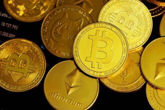 Kripto (Foto : Tokopedia)