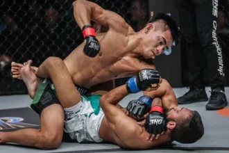 MMA (Foto : Elite MMA Shop)