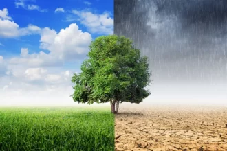 Musim Pancaroba Penyebab Banyak Orang Berjatuhan Sakit