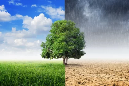 Musim Pancaroba Penyebab Banyak Orang Berjatuhan Sakit