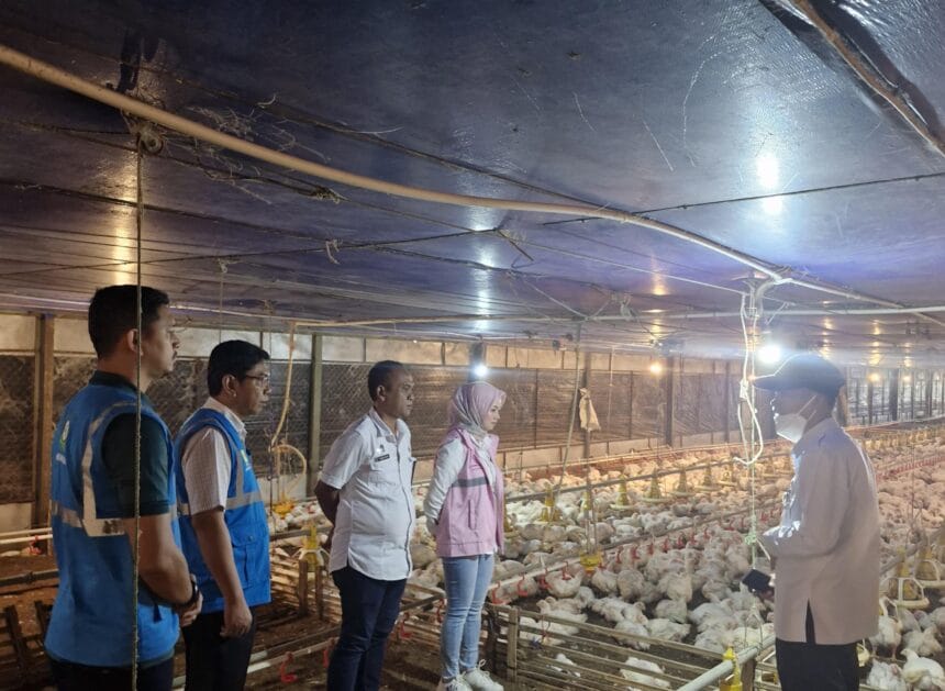 PLN Bekisar Linimassa