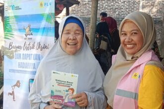 PLN Yarling Linimassa