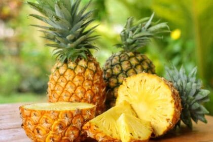 Nanas (Foto : Astro)