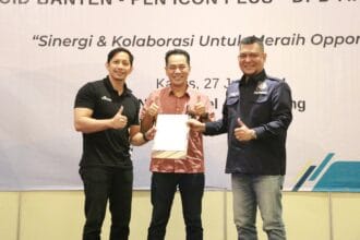 PLN Apersi Linimassa