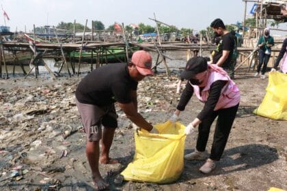 PLN Kelestarian Linimassa