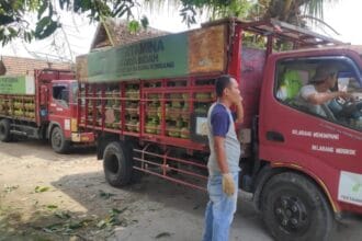 Pemprov Jateng Memastikan Masyarakat Mendapat LPG dengan Harga yang Wajar