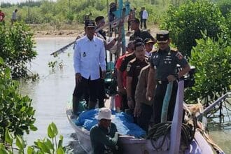Penanaman Mangrove di Pantai Desa Pasar Banggi
