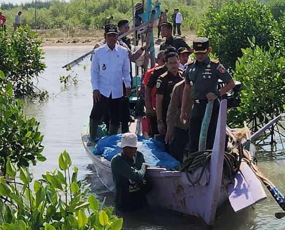 Penanaman Mangrove di Pantai Desa Pasar Banggi