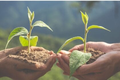 Reboisasi (Foto : Fakultas Pertanian UMSU)