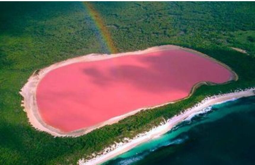 Danau Pink Australia