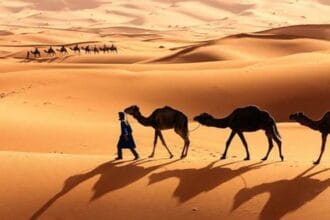 Gurun Pasir Linimassa