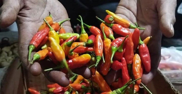 Harga Cabai Naik di Pasar Ciruas Kabupaten Serang