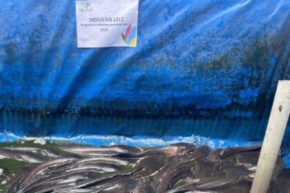 PLN Kampung Berdaya Linimassa