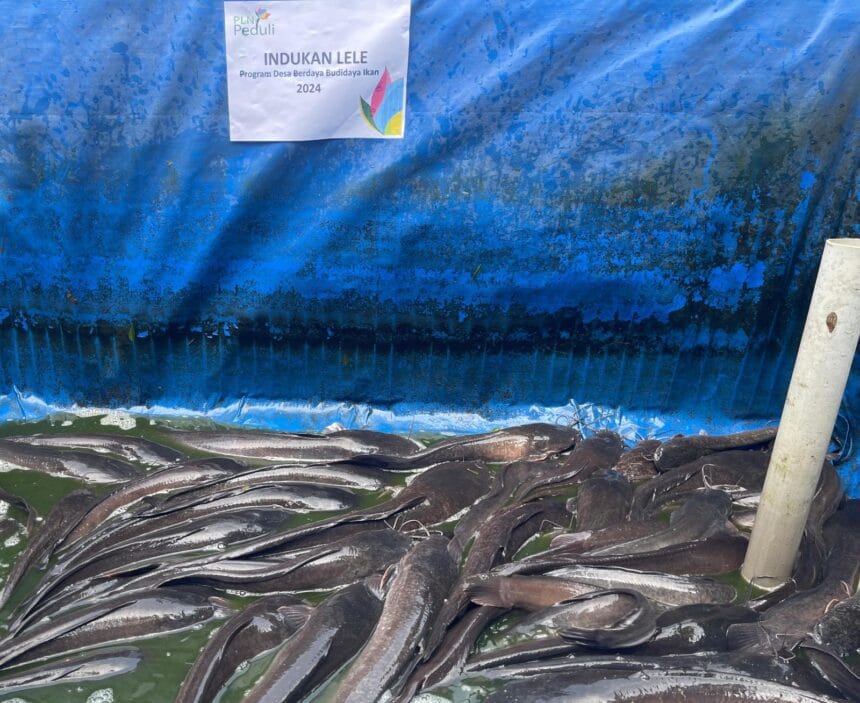 Kampung Berdaya PLN di Kabupaten Tangerang Diapresiasi 1 PLN Kampung Berdaya Linimassa