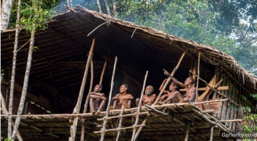 Korowai, Suku di Papua yang Tinggal di Pohon 1 Suku Korowai
