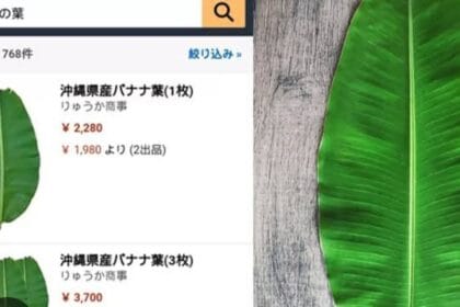 Daun Pisang Linimassa