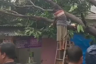 Enak Rumah di Ciputat Tangsel Rusak Tertimpa Pohon Akibat Angin Kencang