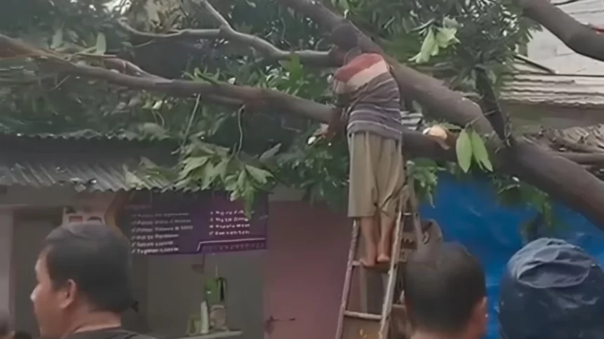 Enak Rumah di Ciputat Tangsel Rusak Tertimpa Pohon Akibat Angin Kencang