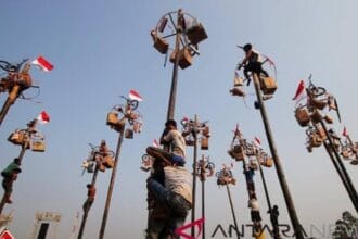 Panjat Pinang Linimassa